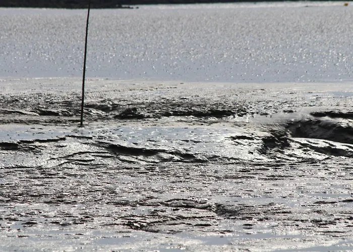 Klapoetke דורום